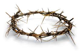Crown of Thorns