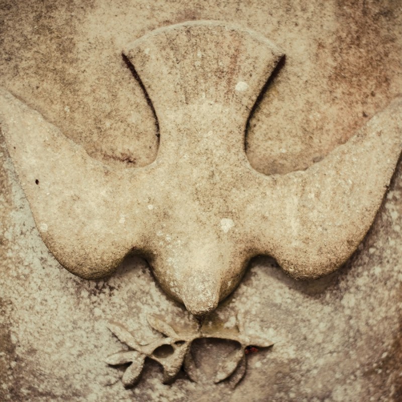 Sunday Morning with St.&nbsp;Francis…