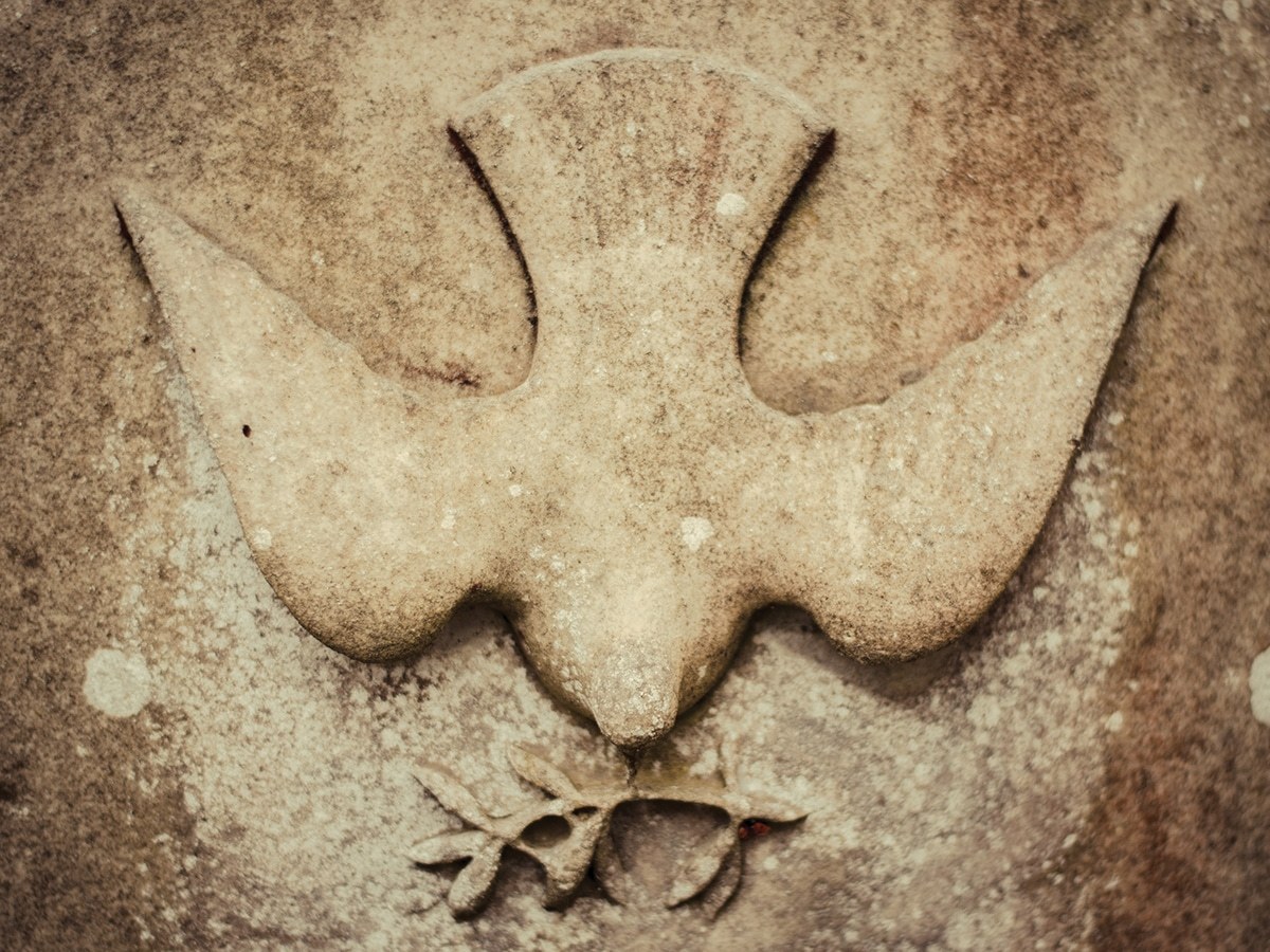 Sunday Morning with St.&nbsp;Francis…