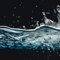 Between Shore and&nbsp;Sure